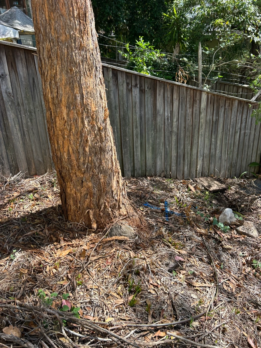 Emergency Blocked Sewer Repair & CCTV Drain Inspection – Mount Colah