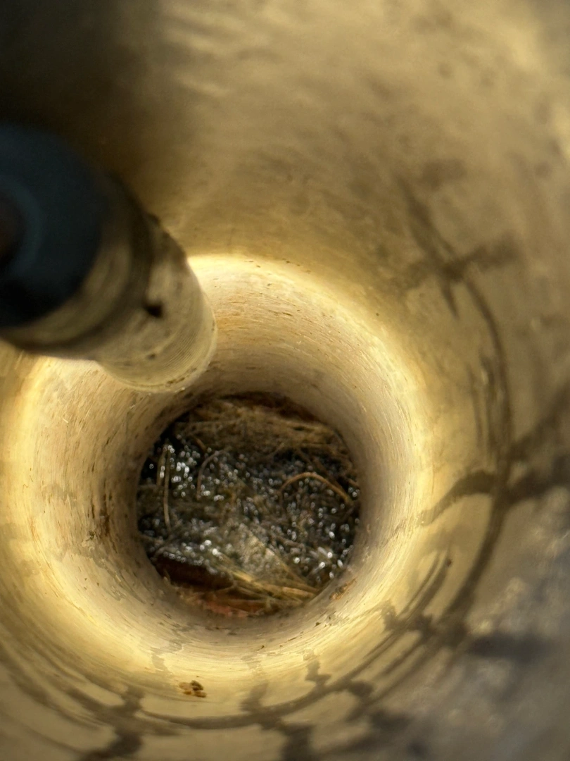 Blocked Sewer Wahroonga