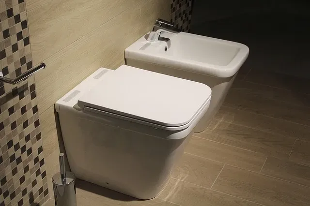 What is a Bidet, How Does It Work, and Should You Get One?