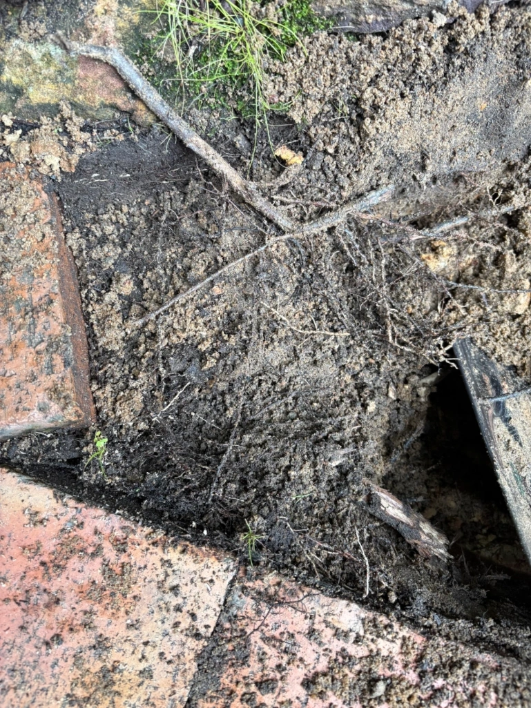 Stormwater Drainage Investigation & Rectification Works – Mount Colah