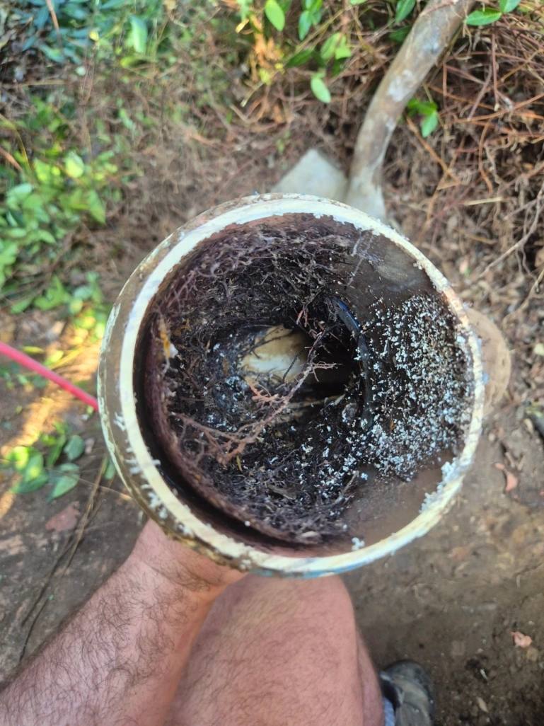 Drain Relining, Sink Drainage Repairs & Tap Servicing – North Rocks