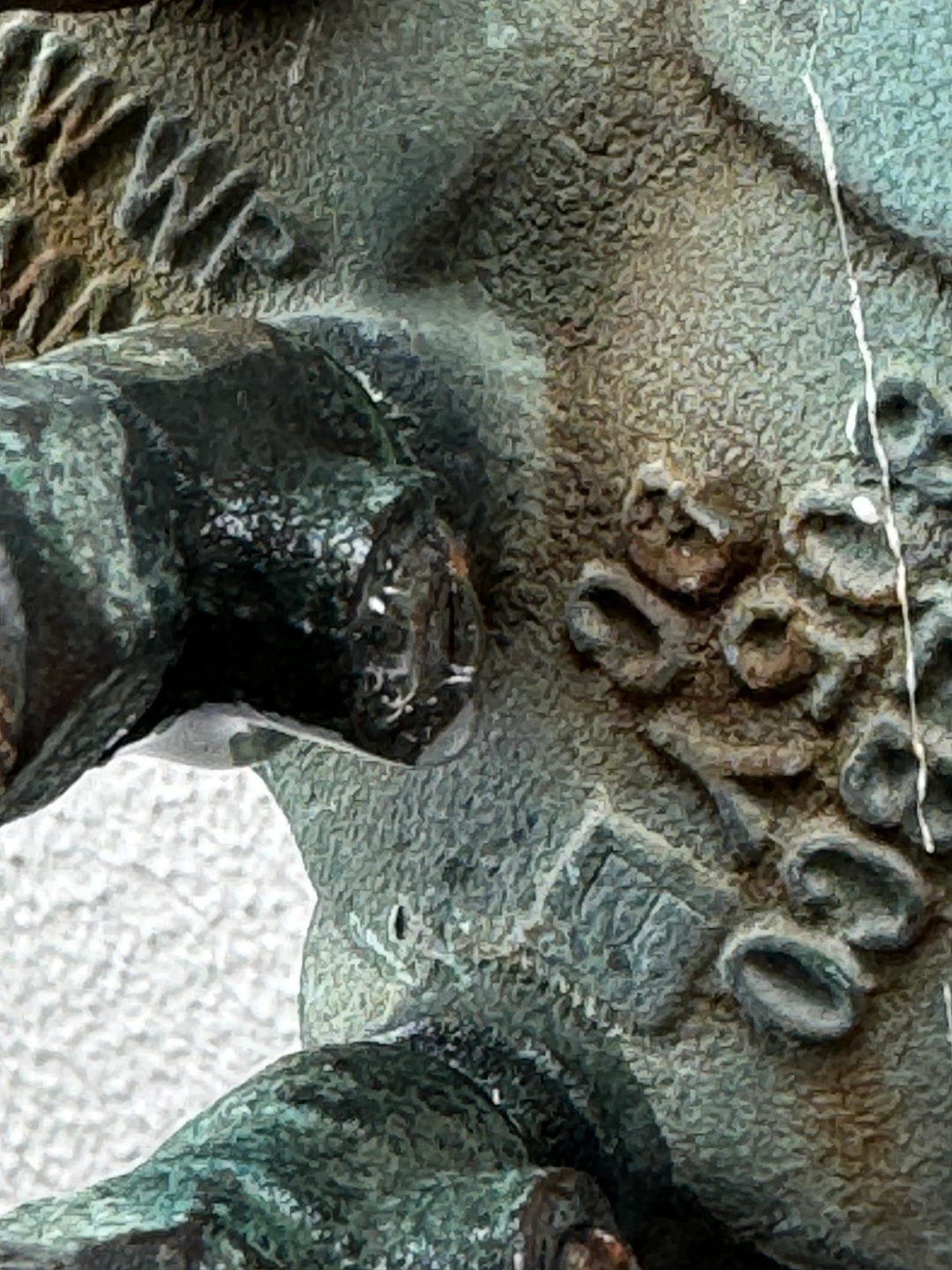 Backflow Prevention Testing & Certification Waitara