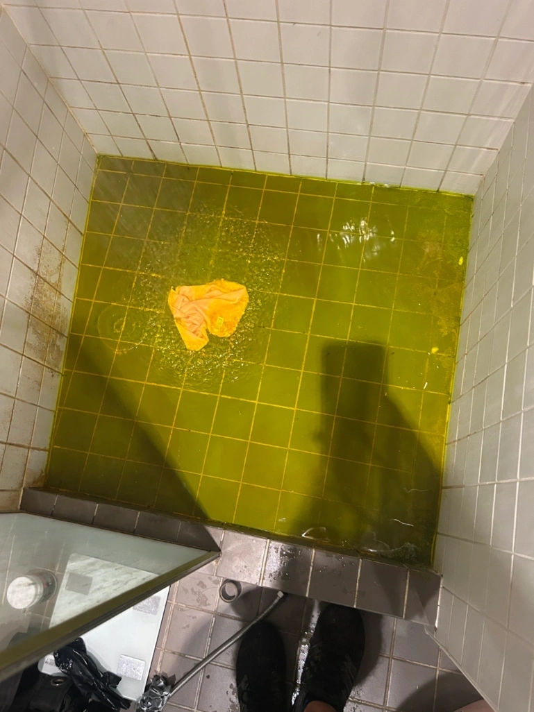 Leak Detection & Dye Testing – Sydney CBD