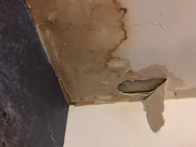 Damp patches on the ceiling
