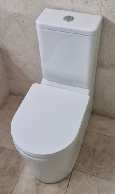 Toilet Replacement
