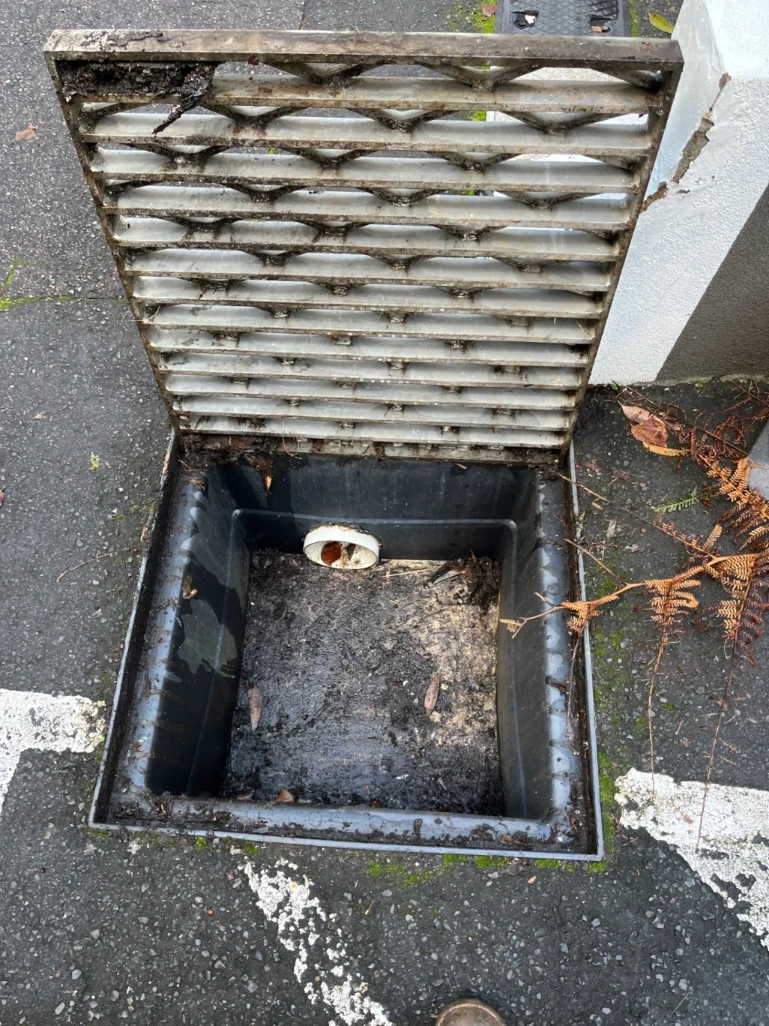 Blocked drain north sydney