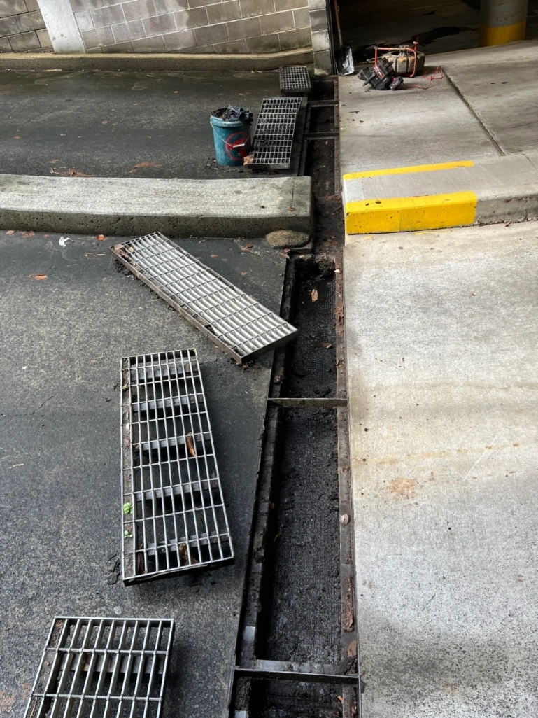 Drainage surrounding stormwater drains