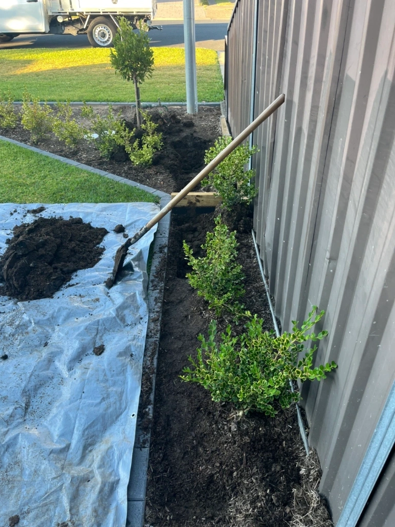 Stormwater Pipe Replacement Guildford