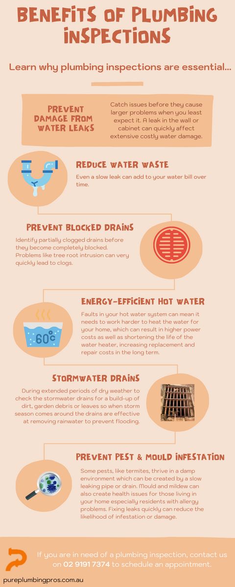 Benefits of a plumbing inspection infographic