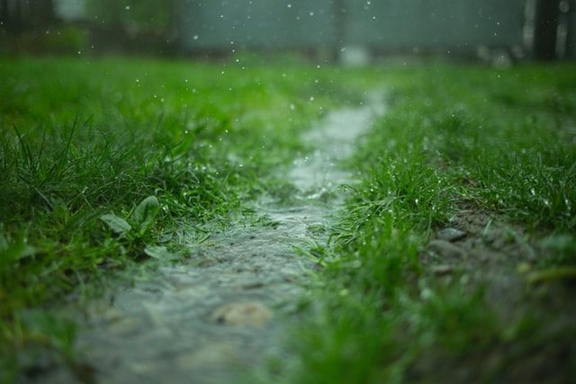 Stormwater on lawn