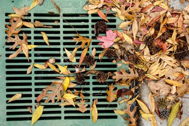 Stormwater drain cover with leaves