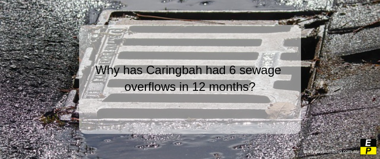 Why has Caringbah had 6 sewage overflows in 12 months?