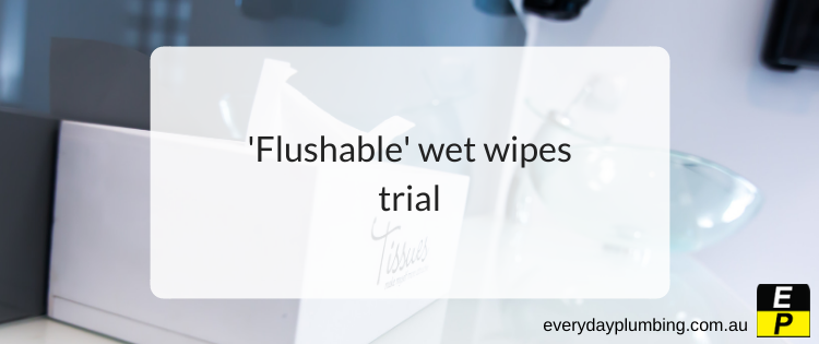 'Flushable' wet wipes trial