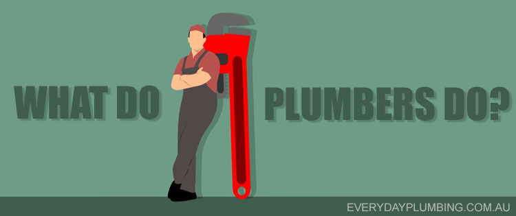 What do plumbers do?