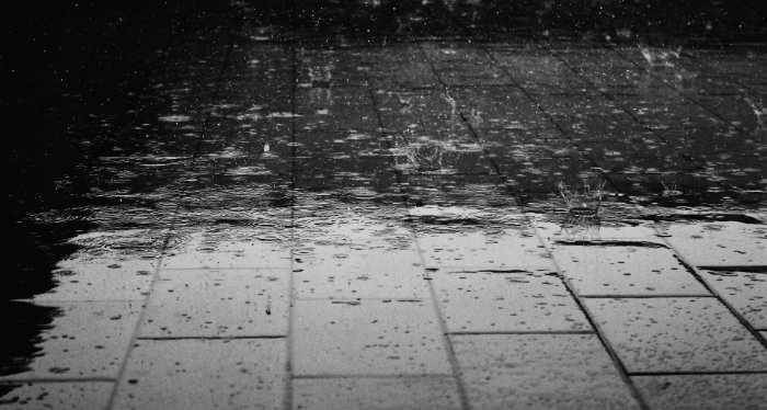 Rainwater Rainwater