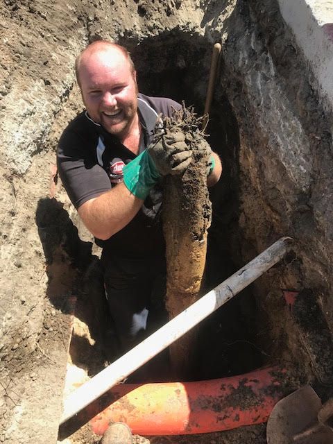 Plumber clearing a drain blocked with tree roots