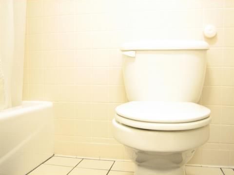 Toilet repairs