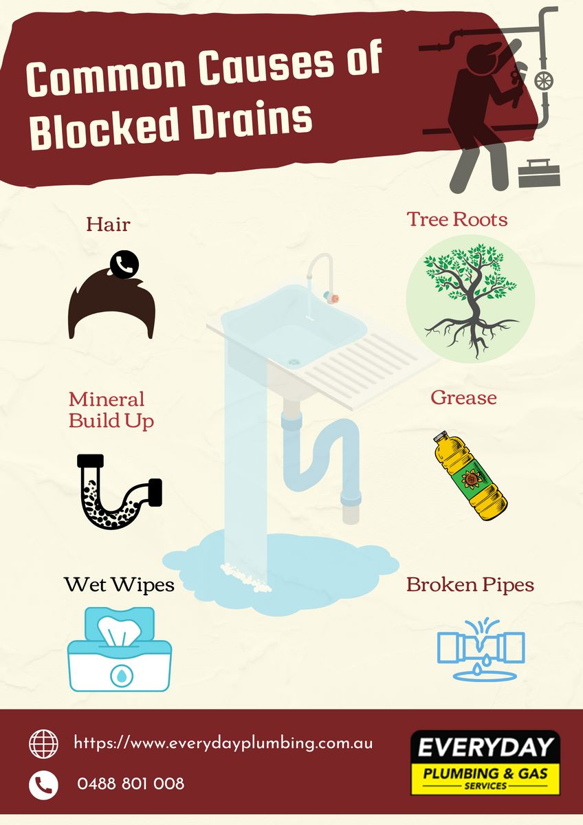 Common Causes of Blocked Drains | Everyday Plumbing