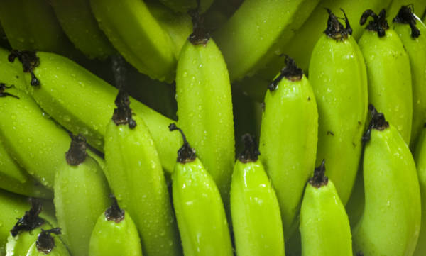 banana
