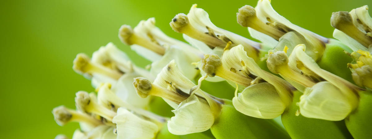 Seventh slide