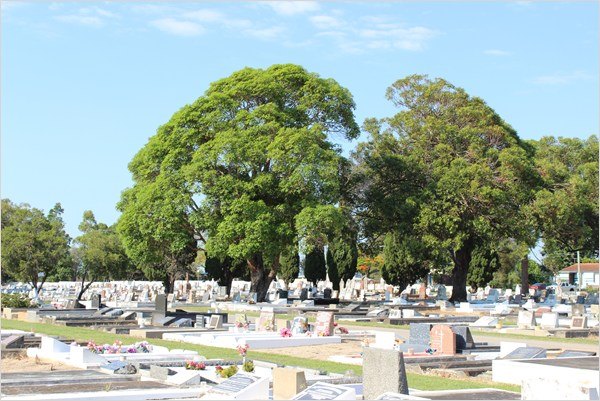 Redcliffe Cemetery