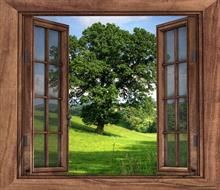 opening outward timber glass windows