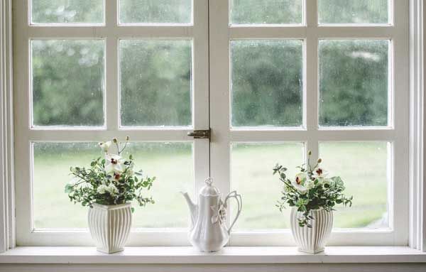 Window with flower pots