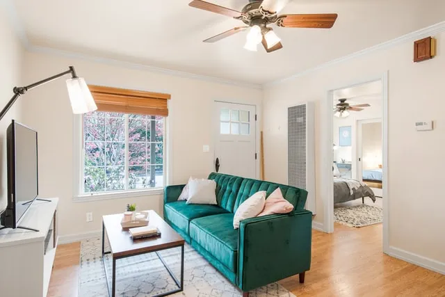 lounge room with ceiling fan