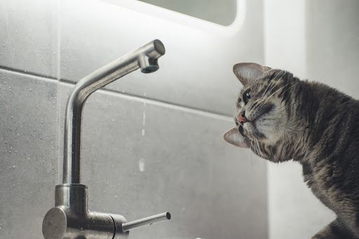 tap-leaking