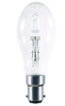 Halogen Light Bulb