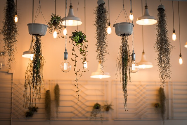 Pendant lights with hanging plants