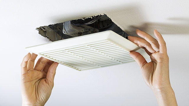 Deciding on an Exhaust Fan