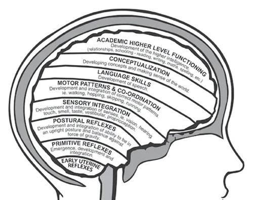 BCST and Primitive Reflexes