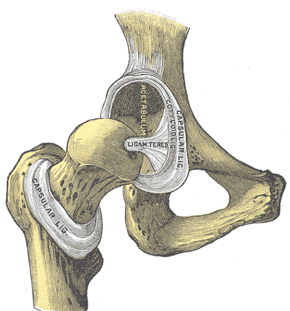 Potency of Joints-Nimes-In Person-October-2023