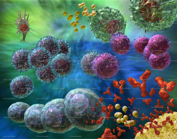 The Immune System and Embracing Wholeness-Vernon-In Person-March-2023
