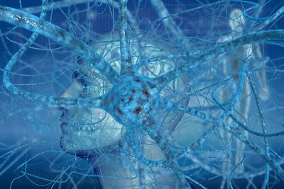 Working with BCST and Mindfulness Coaching Skills Online June 2022