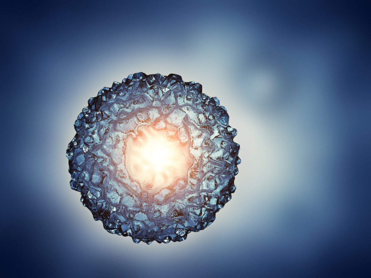 The Embryonic Relational Field Online-March 2022