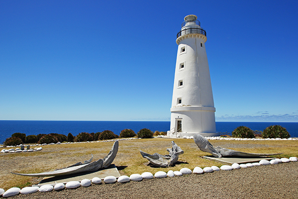 Cape Willoughby