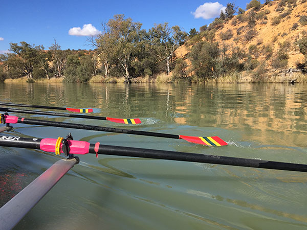 Renmark Regatta Towing & Costs
