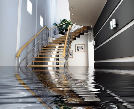 Got water damage? You need to act fast!