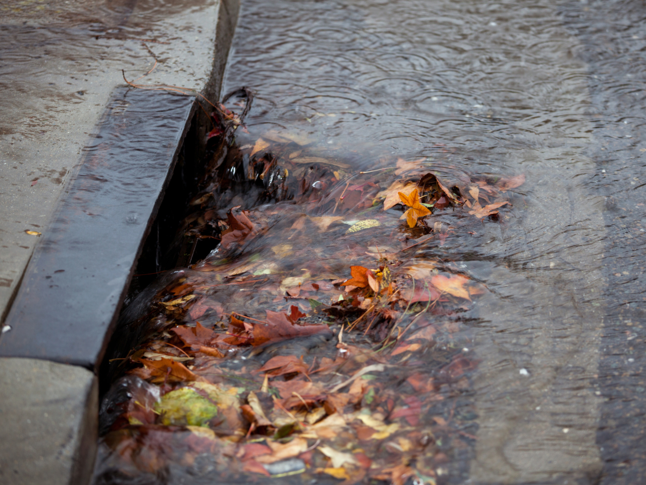 Blocked stormwater drains