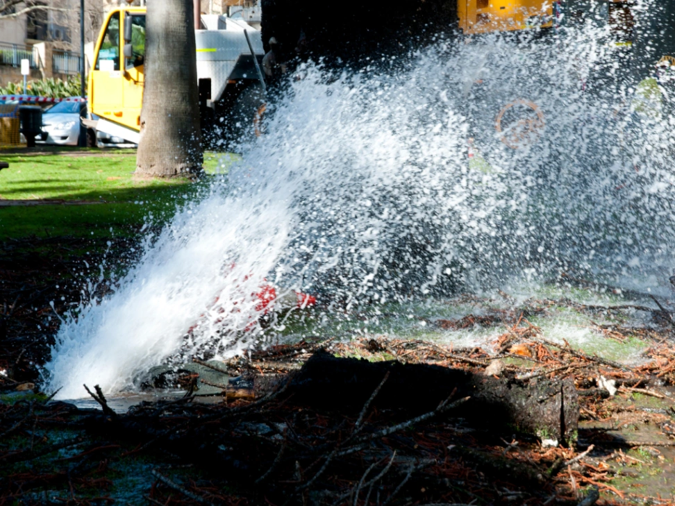 Unexpected Burst Pipe