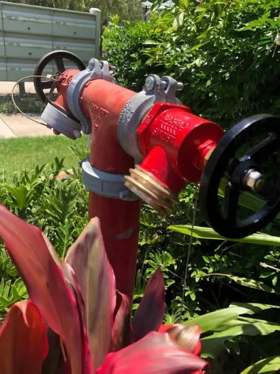 Fire Hydrant Valve Replacement