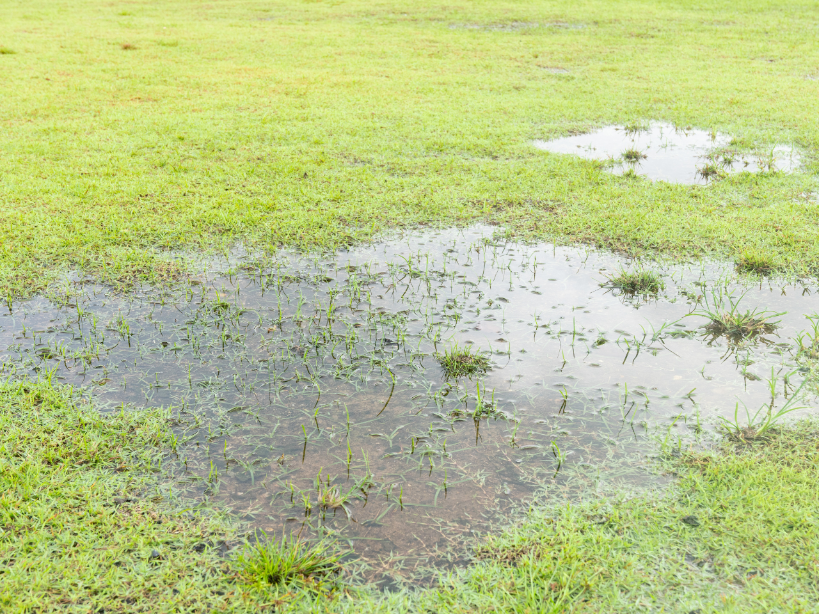 Flooded lawns are a drainage emergency
