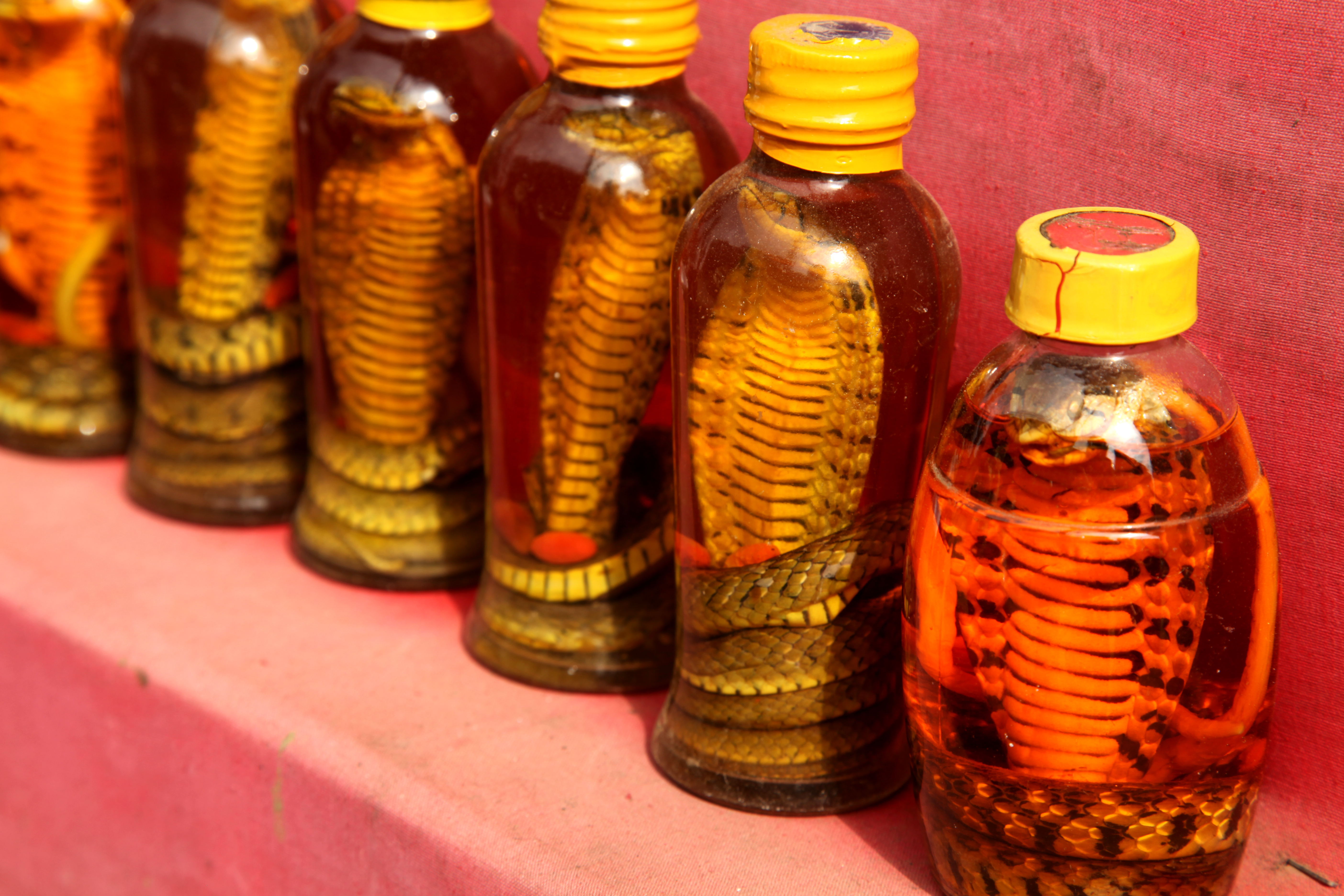 Ancient Chinese Medicine - Curing Cancer