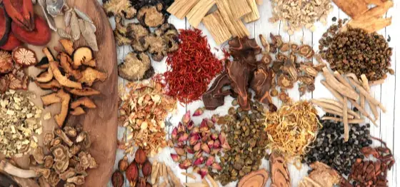 Herbs and roots used in Traditional Chinese Medicine treatments