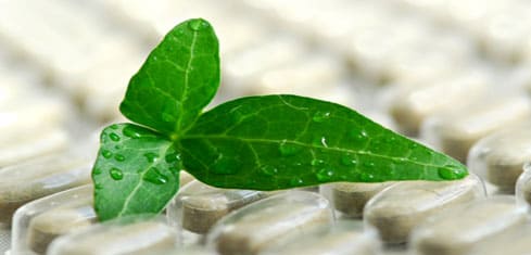 Naturopath Brisbane