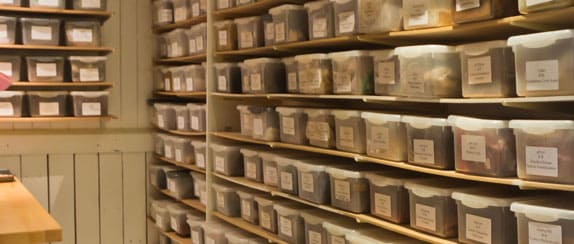 Chinese Herbal Medicine Chinese Herbal Medicine