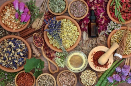 Naturopathy medicines use to treat a variety of conditions including chronic pain