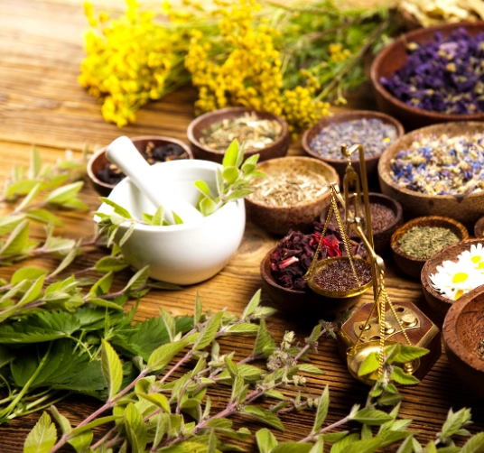 western herbal medicine Information